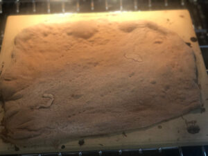 pizza_crust_baked_on_stone