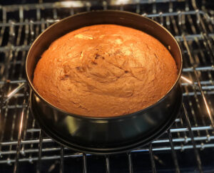 cake_with_no_topping