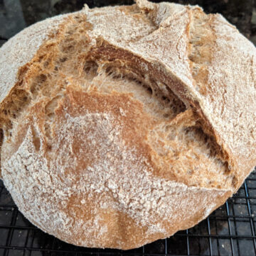 Whole Wheat Bread