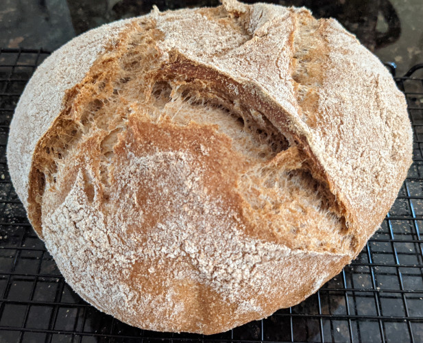 Whole Wheat Bread